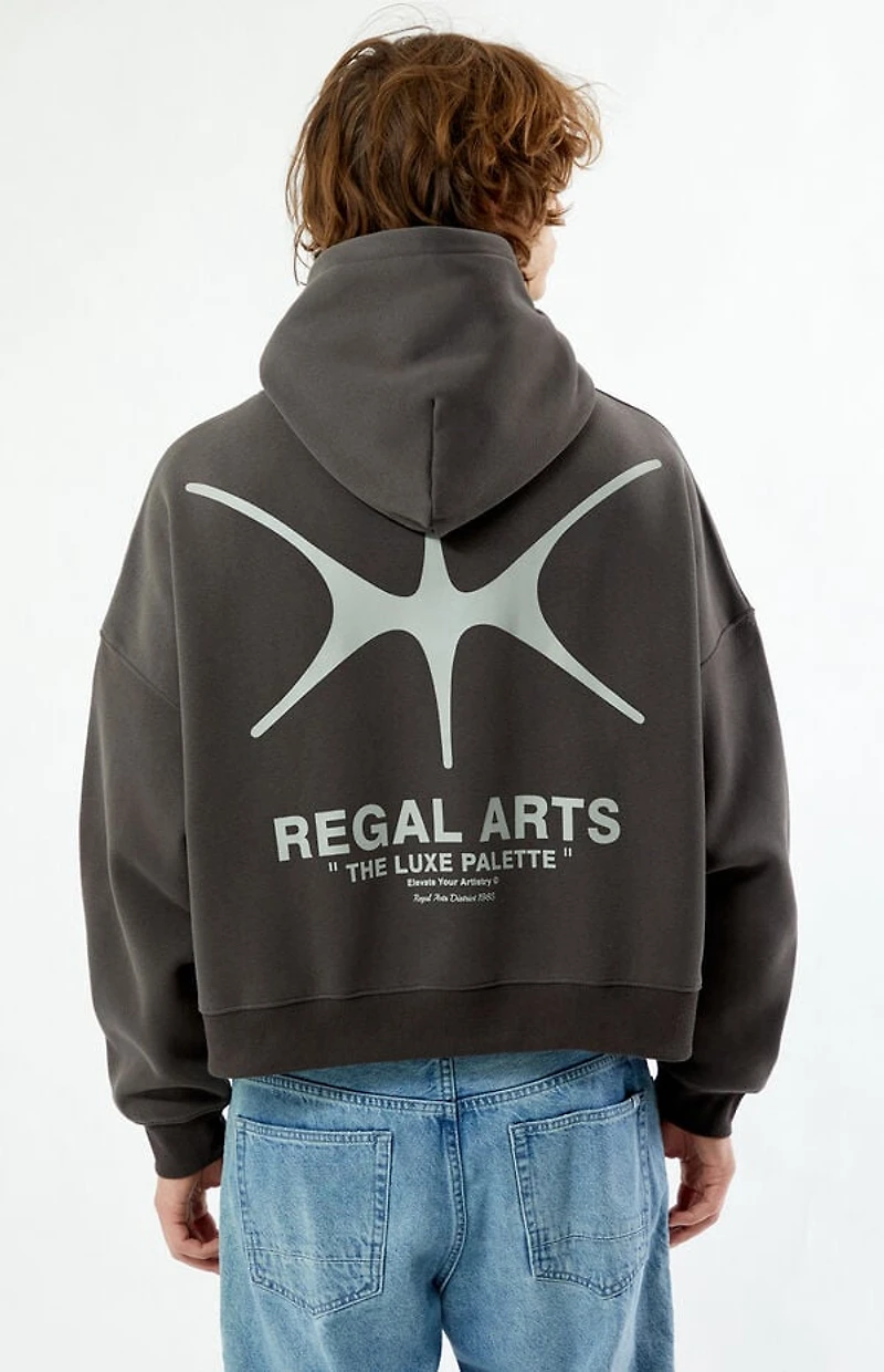 Pacsun Regal Arts Cropped Hoodie