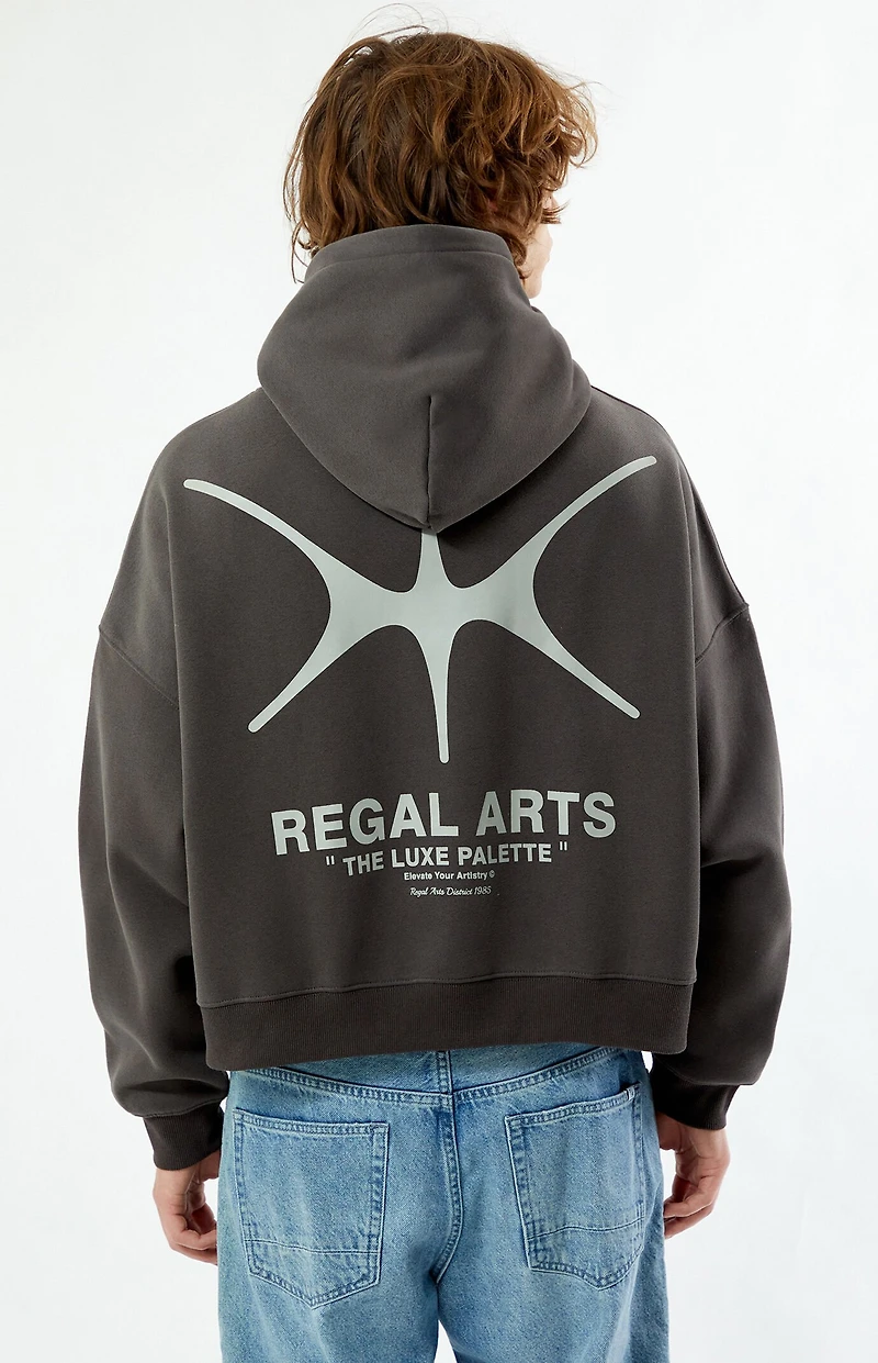 Pacsun Regal Arts Cropped Hoodie