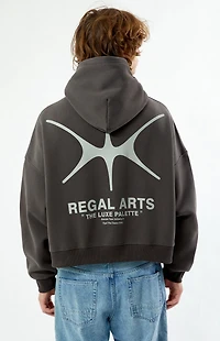 Pacsun Regal Arts Cropped Hoodie