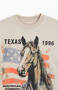 Pacsun Texas '96 Oversized T-Shirt