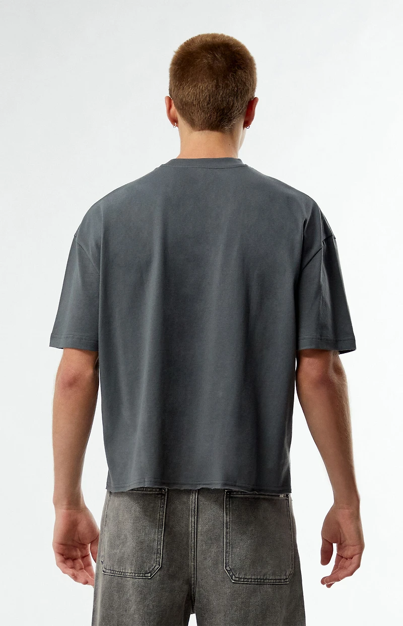 Pacsun Wanderlust Cropped Boxy T-Shirt