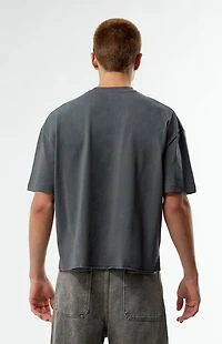 Pacsun Wanderlust Cropped Boxy T-Shirt