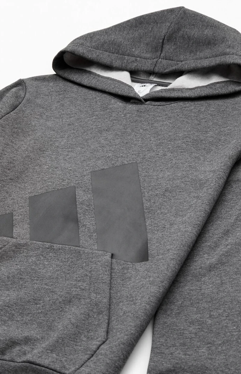 adidas Kids Heather Grey Essentials Big Logo Hoodie