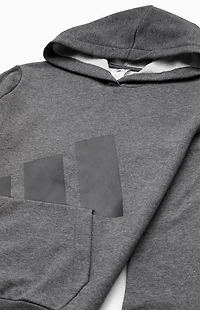 adidas Kids Heather Grey Essentials Big Logo Hoodie