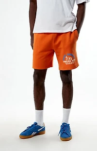 Pacsun Downtown Rodeo Fleece Sweat Shorts
