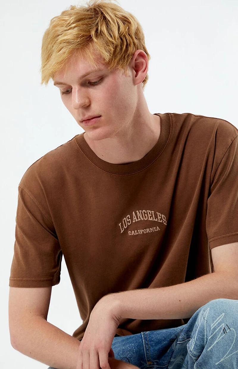 Pacsun Los Angeles Embroidered Vintage Wash T-Shirt