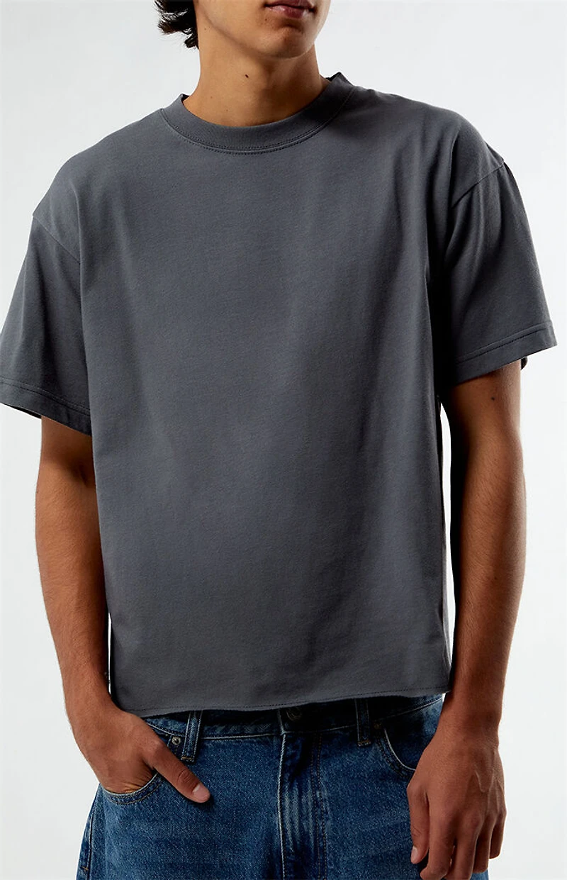 Pacsun Premium Cropped T-Shirt