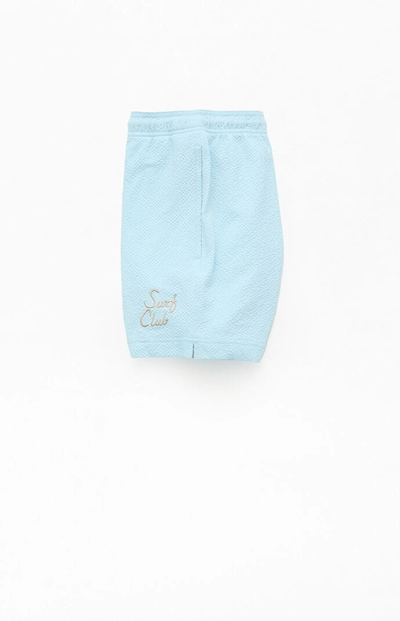 Pacsun Surf Club Seersucker 4.5" Swim Trunks