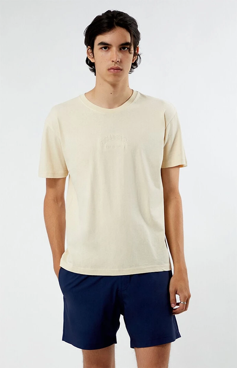 Pacsun LA Embroidered T-Shirt