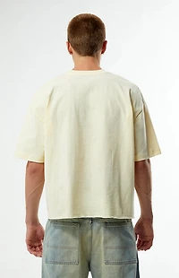 Pacsun Forever Cropped Boxy T-Shirt