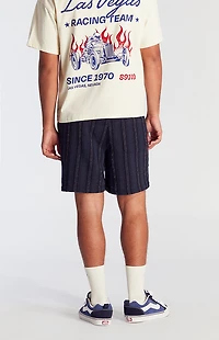 Pacsun Navy Striped Textured Volley Shorts