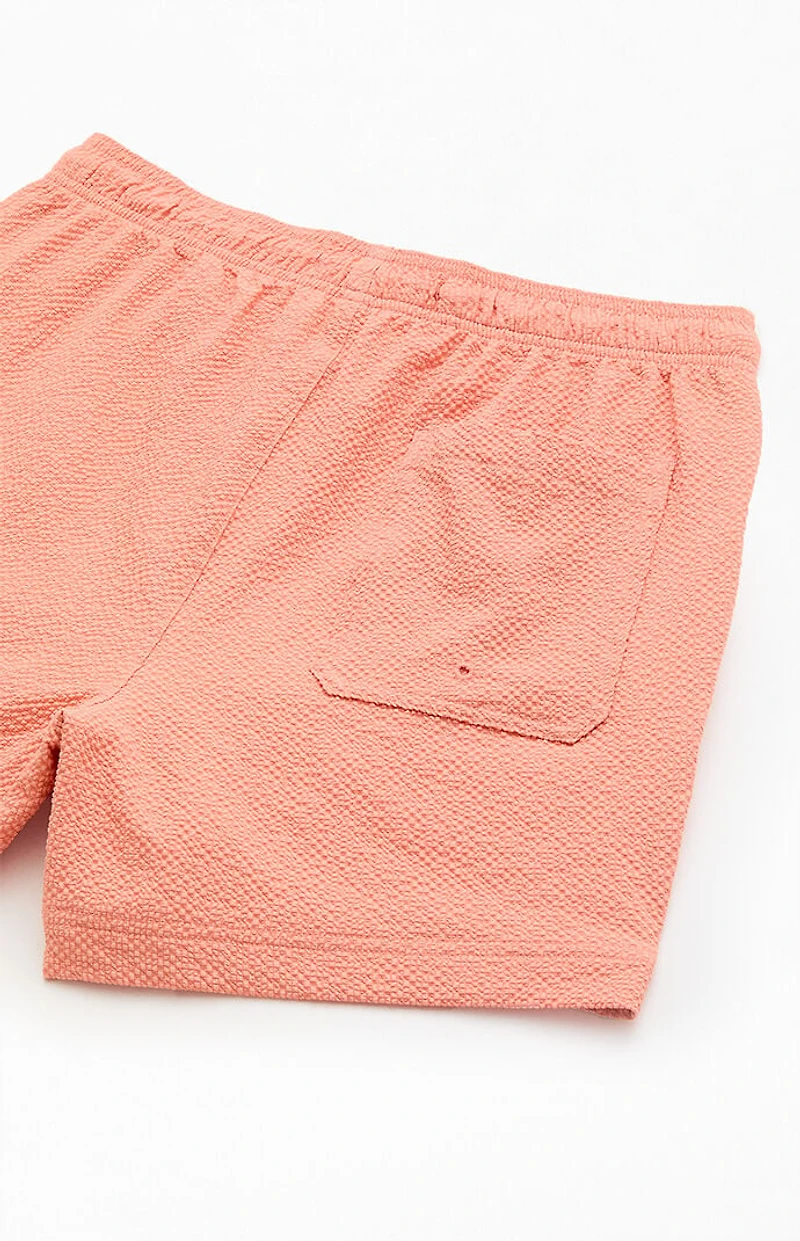 Pacsun Lucy's Seersucker 4.5" Swim Trunks