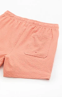 Pacsun Lucy's Seersucker 4.5" Swim Trunks