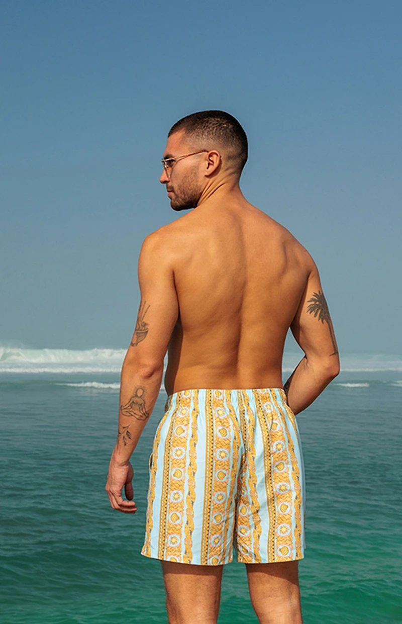 Boardies Baroque Stripe 4.5" Swim Trunks