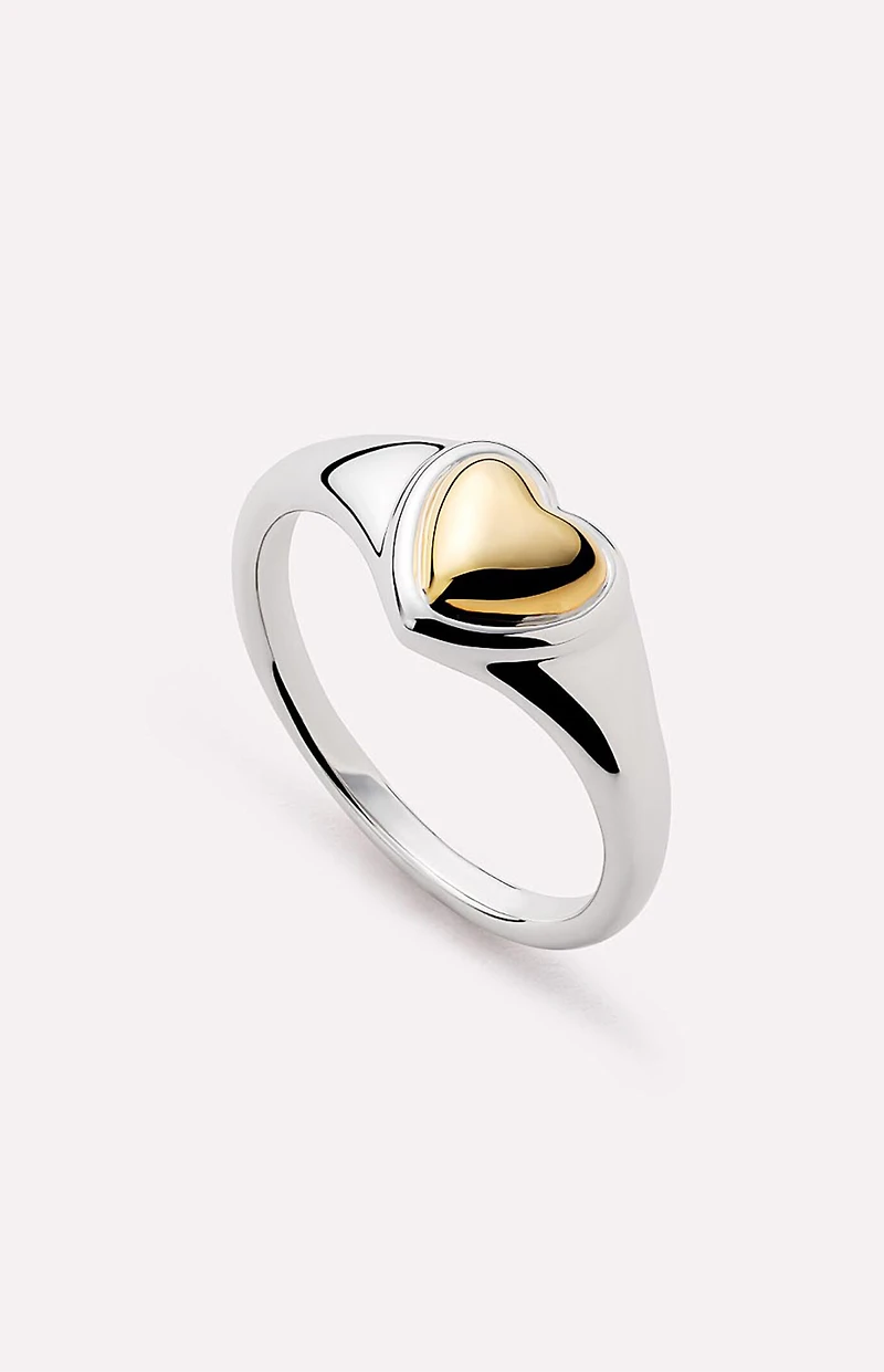 Ana Luisa Elysia Signet Ring