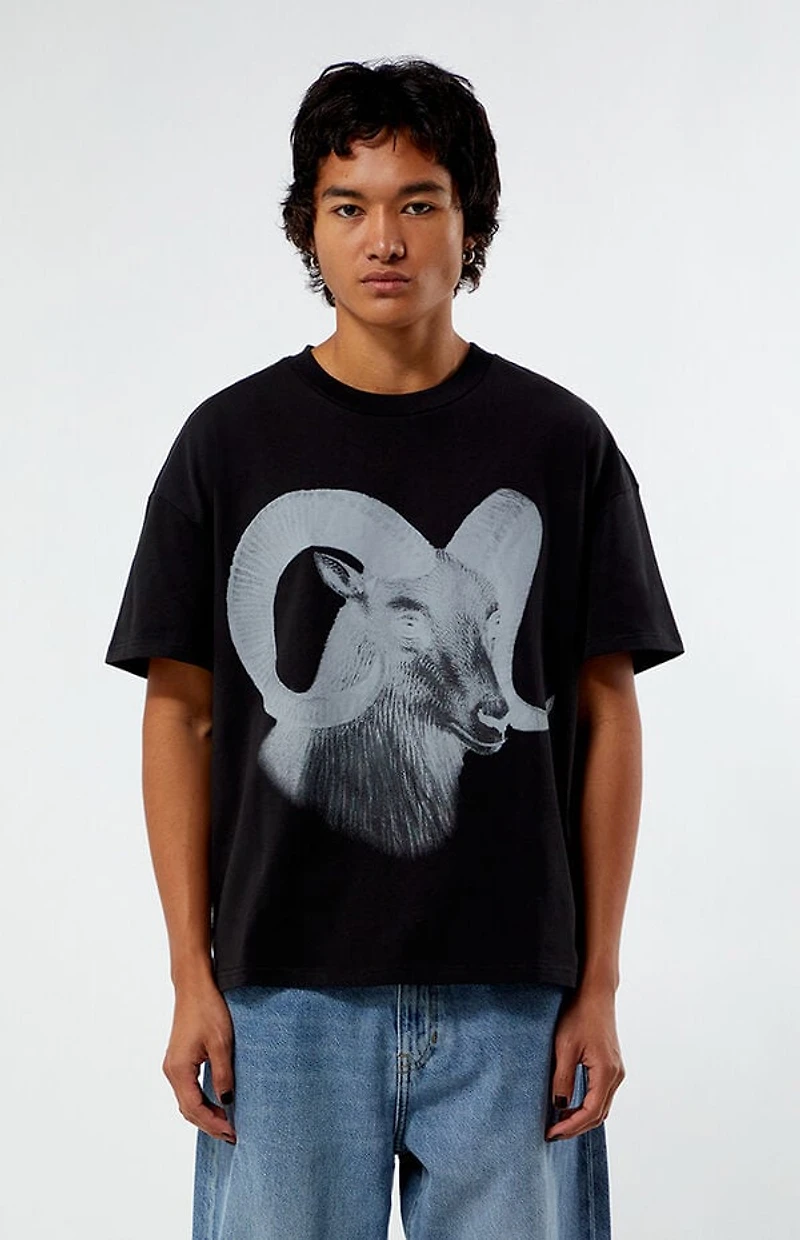 Pacsun Ram Cropped Boxy T-Shirt