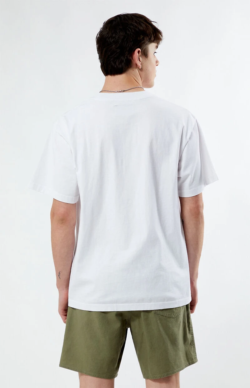 Pacsun Mostly Harmless Embroidered Oversized T-Shirt