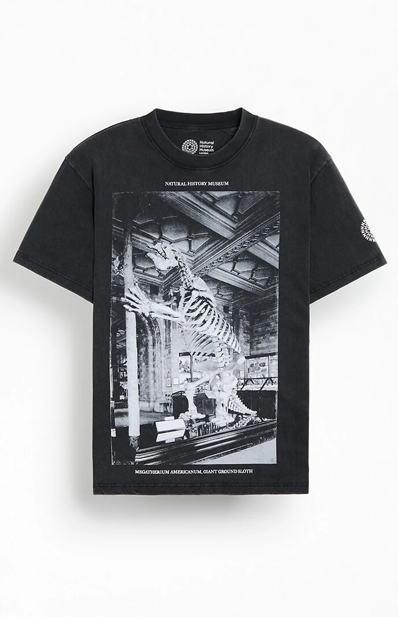 NHM Dinosaur Fossil T-Shirt