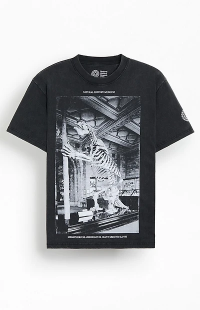 NHM Dinosaur Fossil T-Shirt