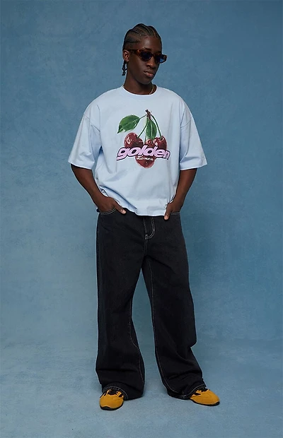 Pacsun Blake Extreme Baggy Jeans Embroidered Flames Washed Black