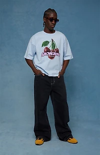 Pacsun Blake Extreme Baggy Jeans Embroidered Flames Washed Black