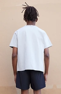 A.R.C. Gray Vintage Wash Heavyweight Cropped Boxy T-Shirt