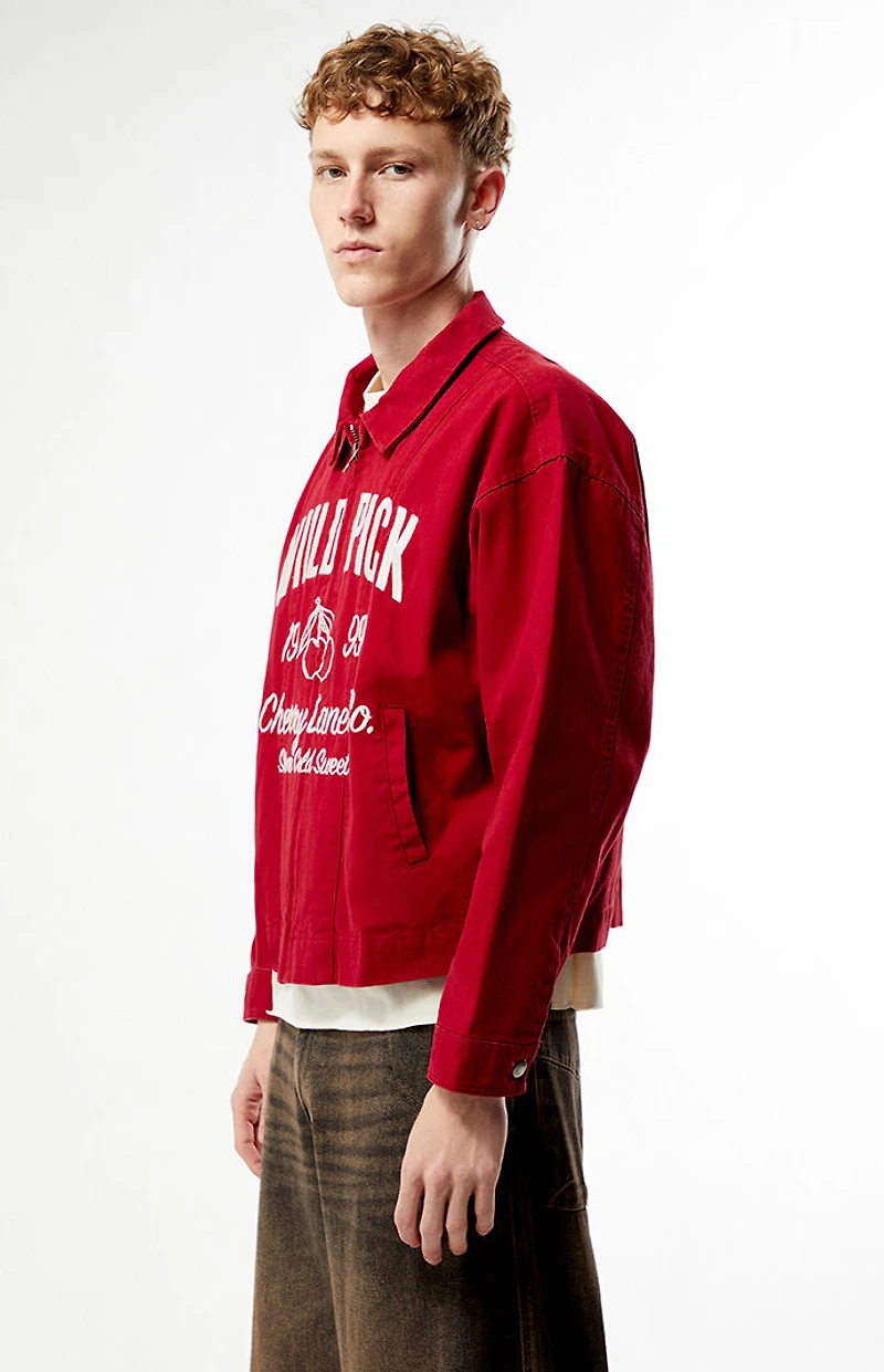 Pacsun Wild Pick Gas Jacket