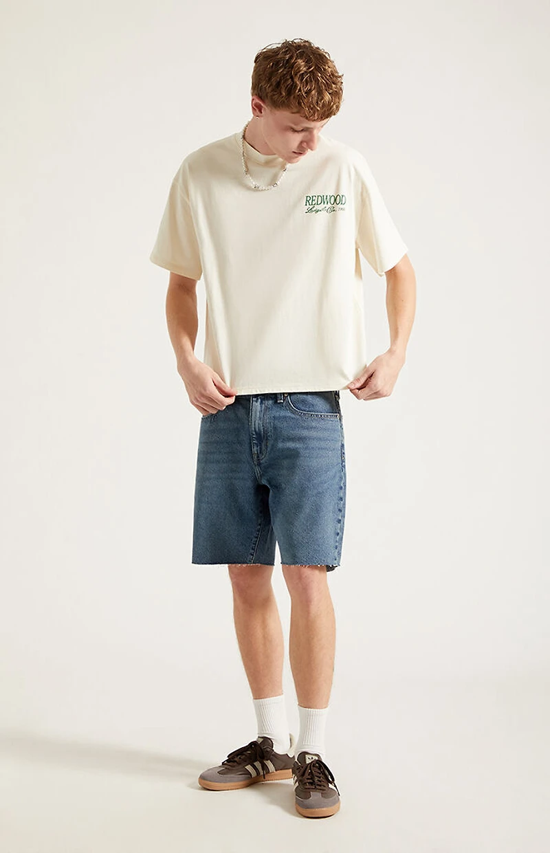 Pacsun Harrison Cutoff Baggy Jean Shorts Medium Blue