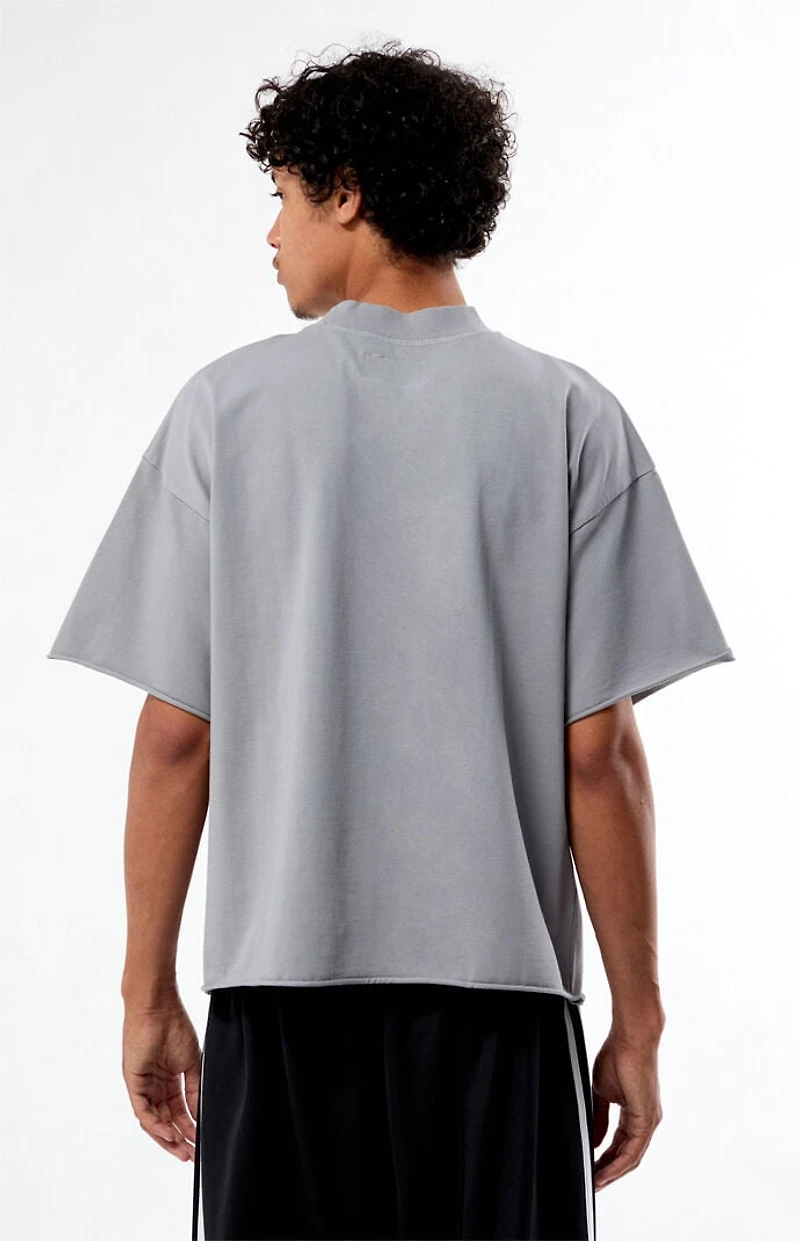 Pacsun Gray Heavyweight Cropped T-Shirt