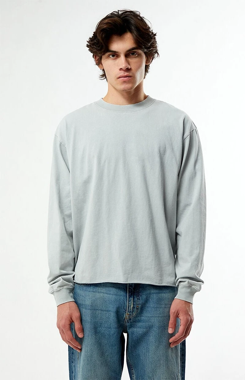 Pacsun Premium Cropped Long Sleeve T-Shirt