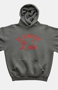 PS VINTAGE 2000s Plainview Jr High Pullover Hoodie