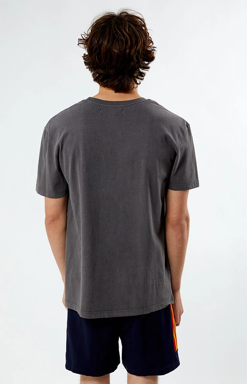 Pacsun Los Angeles Embroidered Vintage Wash T-Shirt