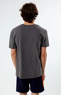 Pacsun Los Angeles Embroidered Vintage Wash T-Shirt