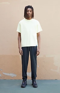 A.R.C. Pale Green Vintage Wash Heavyweight Cropped Boxy T-Shirt