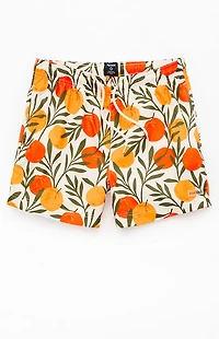 Pacsun Oranges Eco 4.5" Swim Trunks