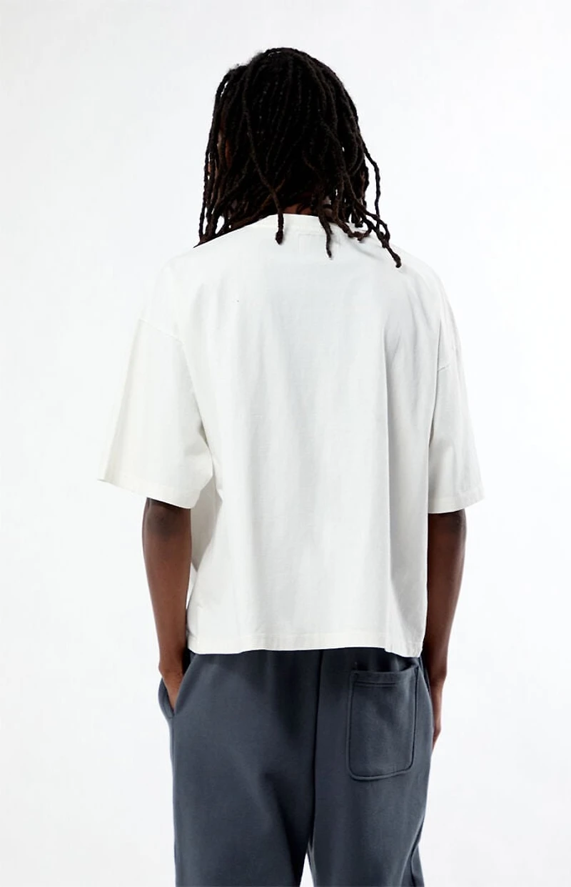 Pacsun Paradise Cropped Boxy T-Shirt