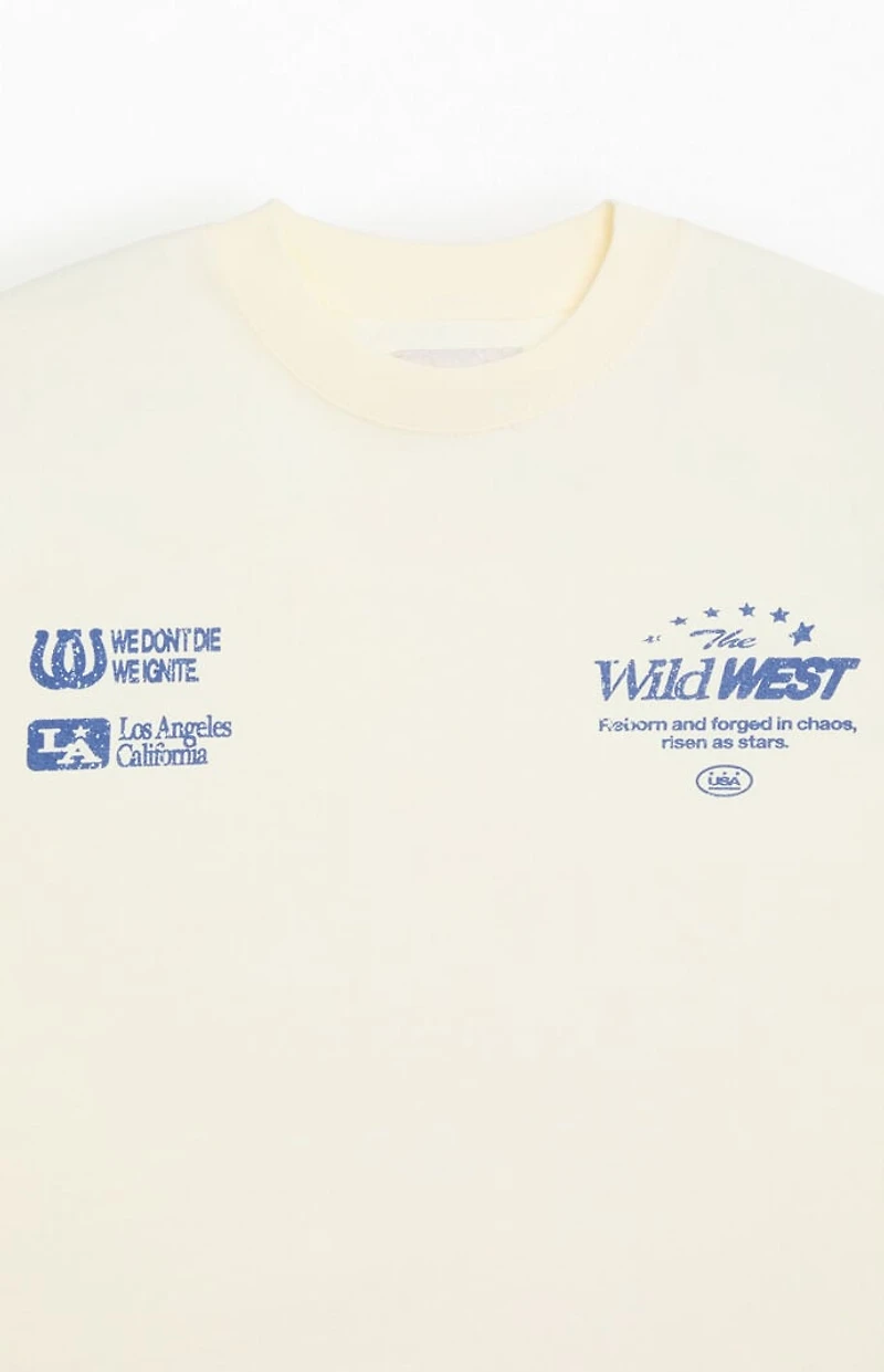 Pacsun Wild West Cropped T-Shirt