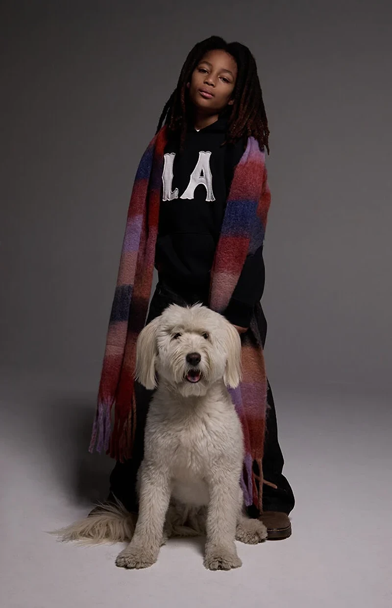 Pacsun Kids LA Applique Hoodie