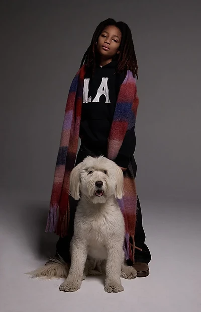 Pacsun Kids LA Applique Hoodie