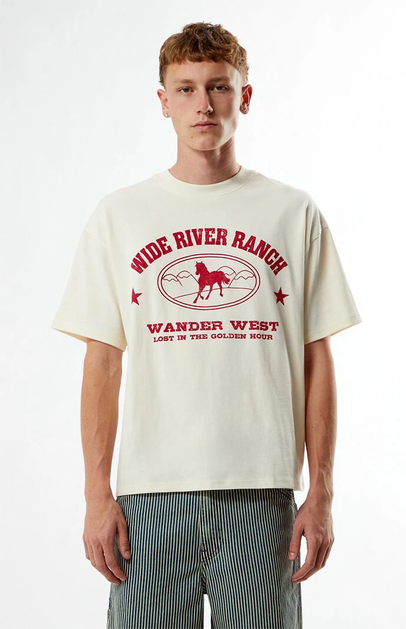 Pacsun Wander T-Shirt
