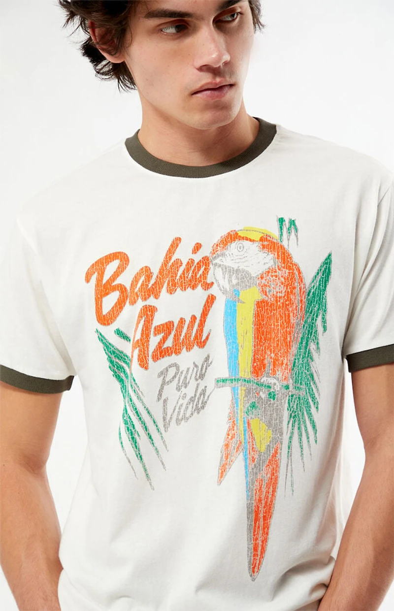 Pacsun Bahia Azul Ringer T-Shirt
