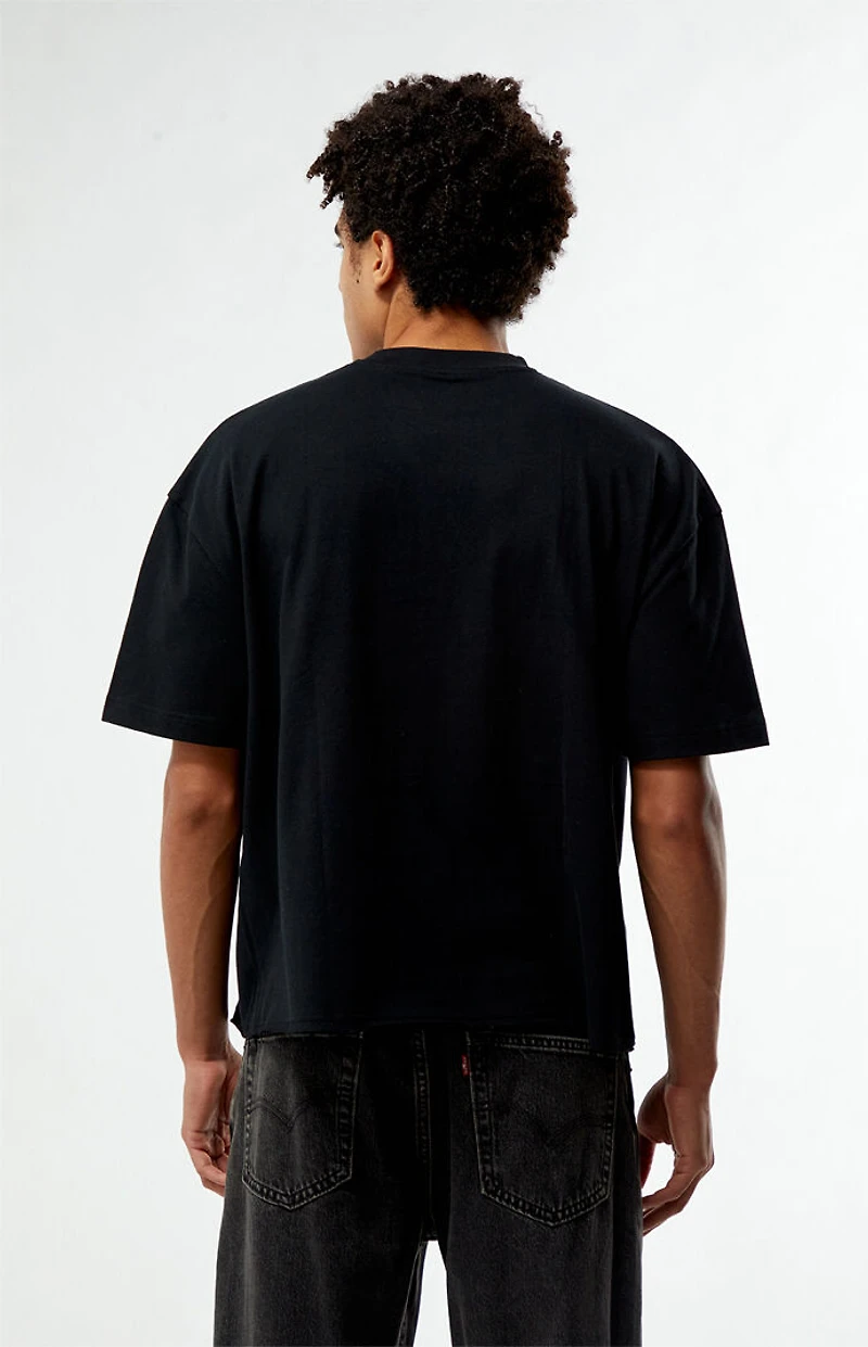 Pacsun Sanctum Cropped Boxy T-Shirt