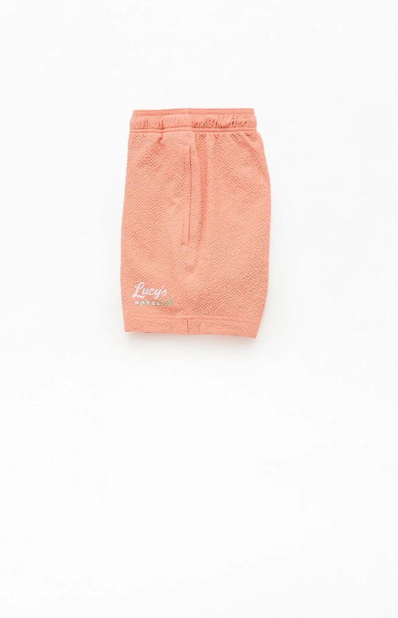 Pacsun Lucy's Seersucker 4.5" Swim Trunks