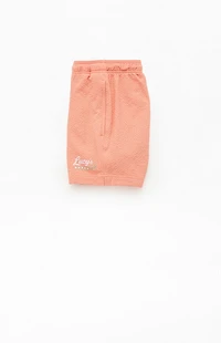 Pacsun Lucy's Seersucker 4.5" Swim Trunks