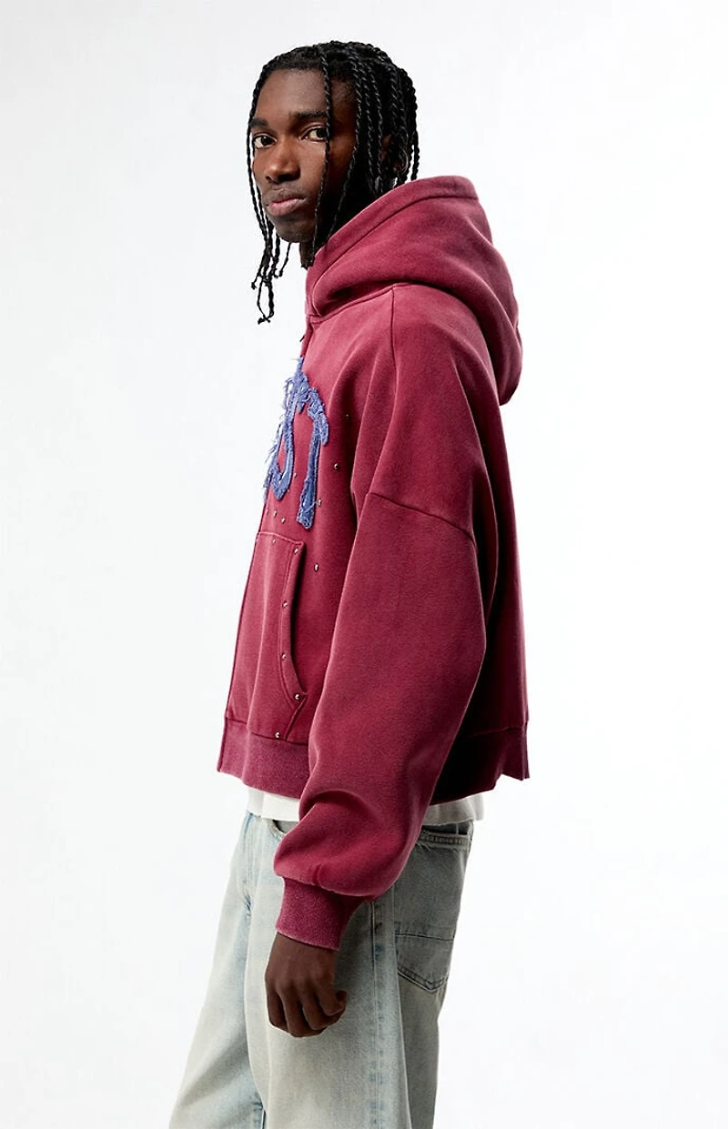 Pacsun Ghost Washed Cropped Full Zip Hoodie