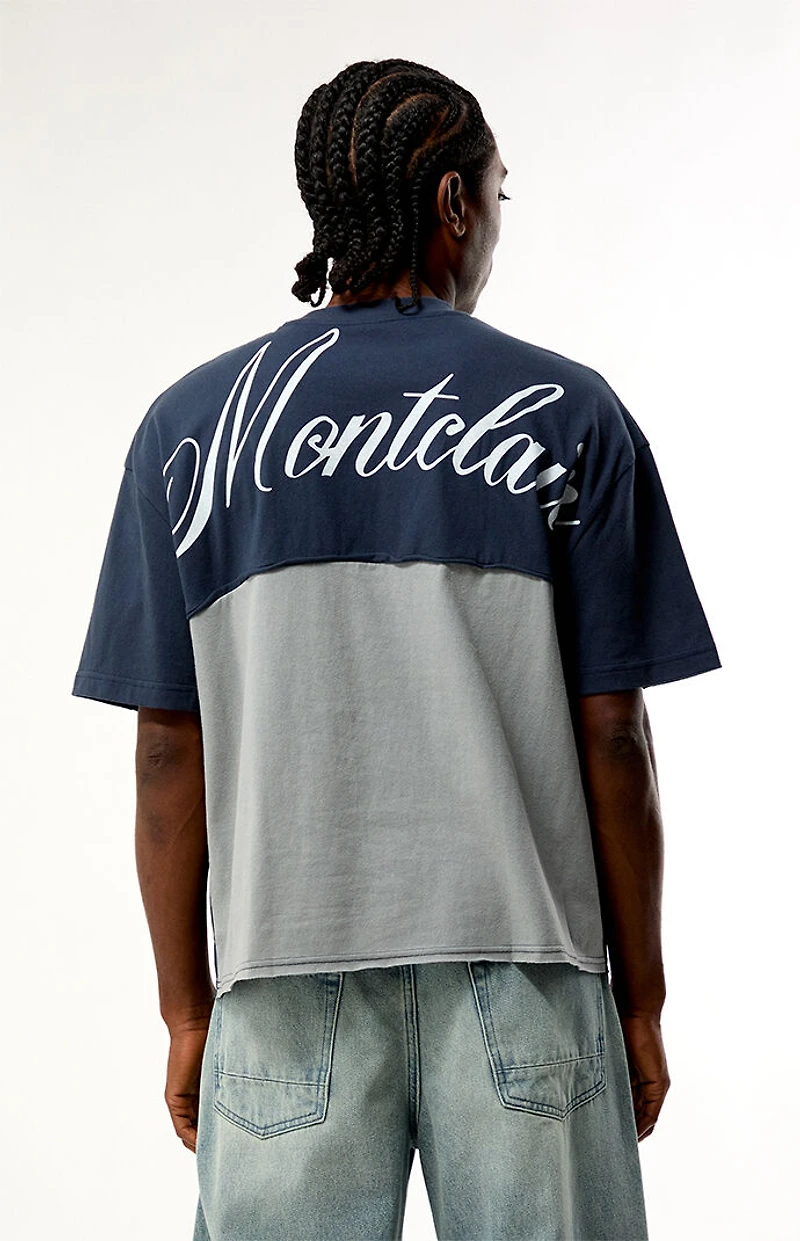 Pacsun Blue Montclair Cropped Color Block T-Shirt