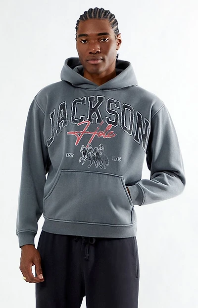 Pacsun Jackson Hole Hoodie