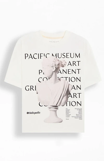 Pacsun Pacific Museum Cropped Boxy T-Shirt