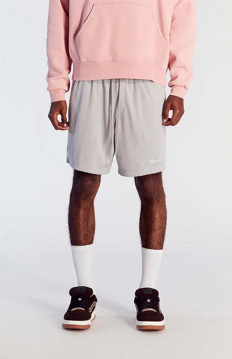 Pacsun Gray Pacific Sunwear Aaron Mesh Volley Shorts