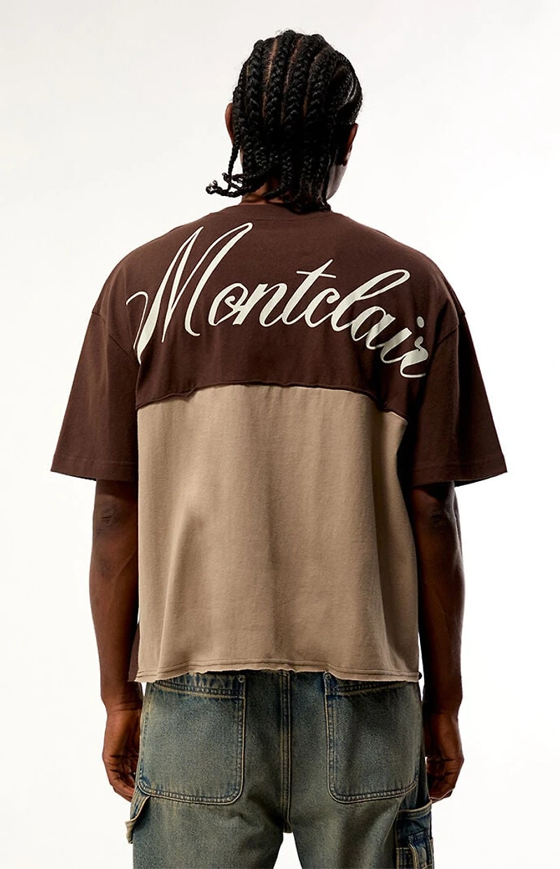 Pacsun Brown Montclair Cropped Color Block T-Shirt